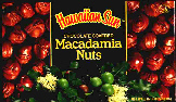 Most Delicious Chocolate Macadamia Nuts in the world